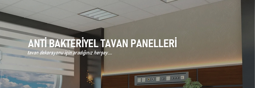 anti bakteriyel tavan profili